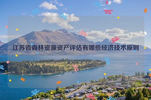 江蘇省森林資源資產(chǎn)評估有哪些經(jīng)濟技術原則