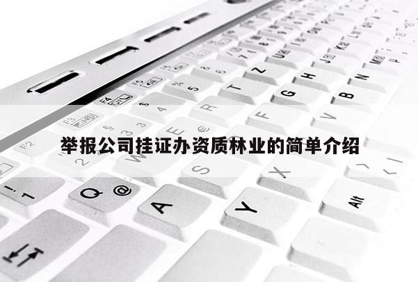 舉報(bào)公司掛證辦資質(zhì)林業(yè)的簡(jiǎn)單介紹