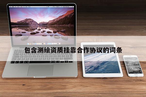 包含測(cè)繪資質(zhì)掛靠合作協(xié)議的詞條