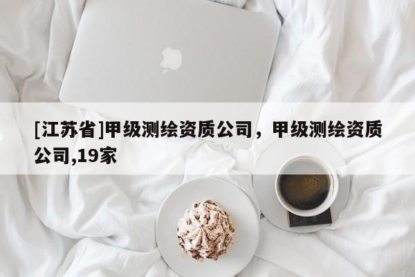 [江蘇省]甲級測繪資質(zhì)公司，甲級測繪資質(zhì)公司,19家